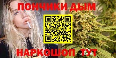 МДПВ Будённовск