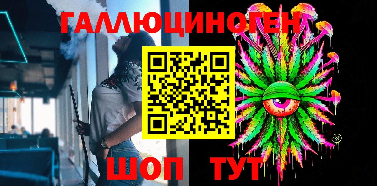 Псилоцибиновые грибы Psilocybine cubensis Кызыл